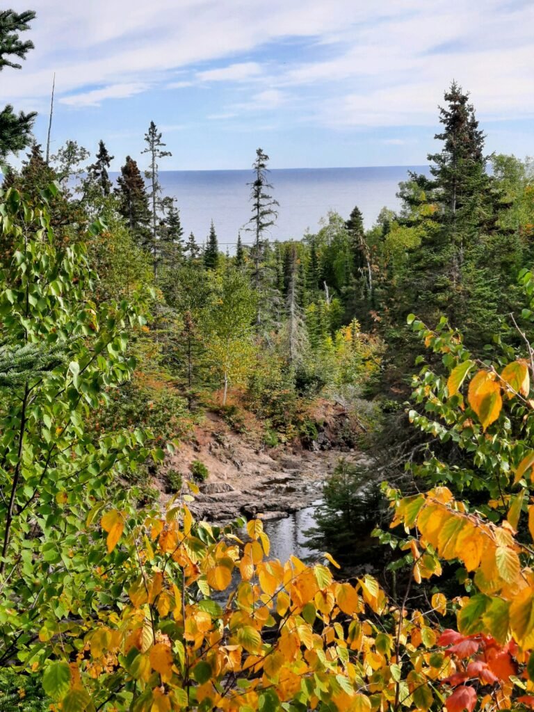 minnesota north shore seasons