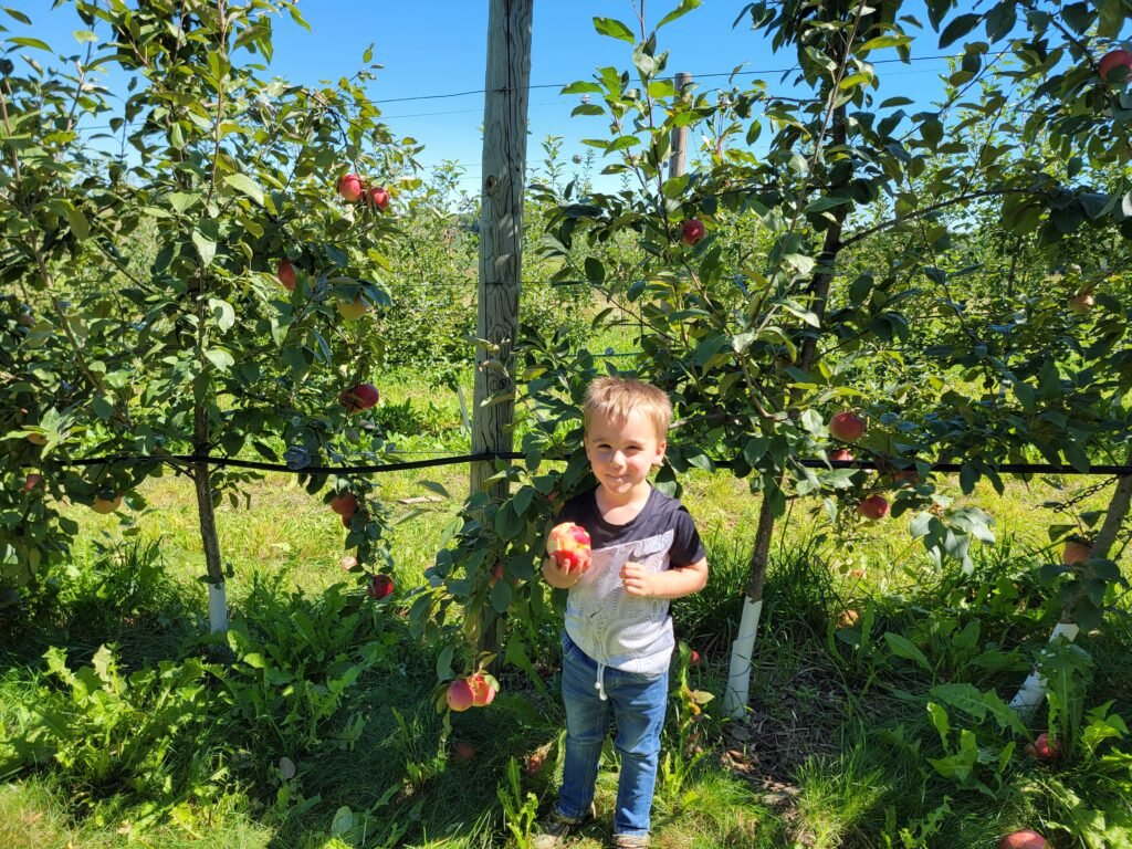 coop eating an apple