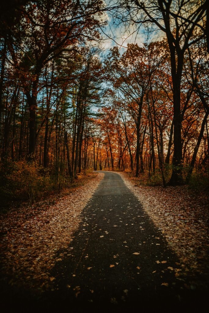 fall in wisconsin