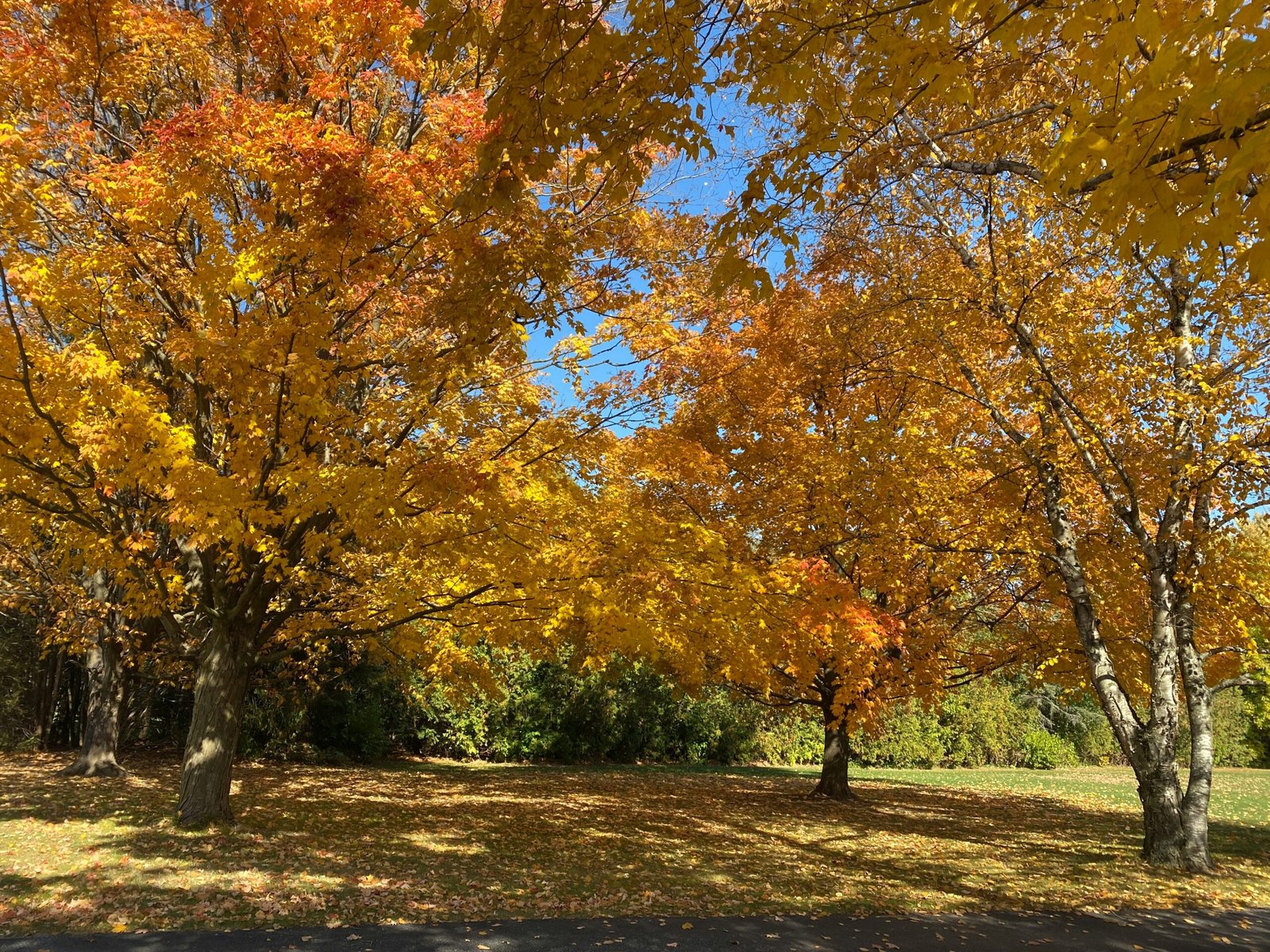 autumn in wisconsin