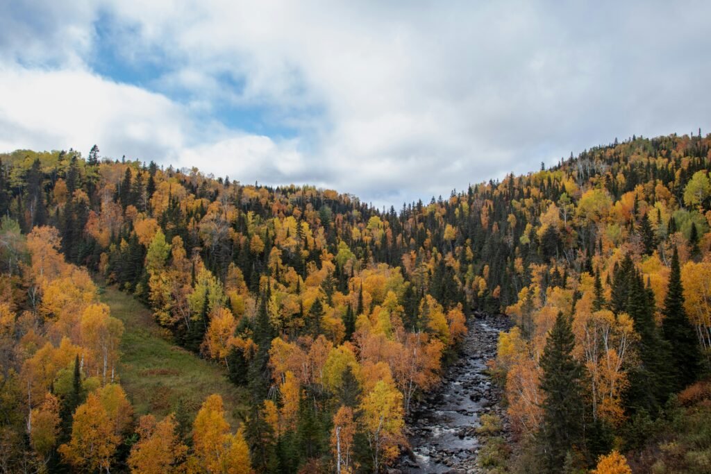 Incredible views from nearby Lutsen Mountain