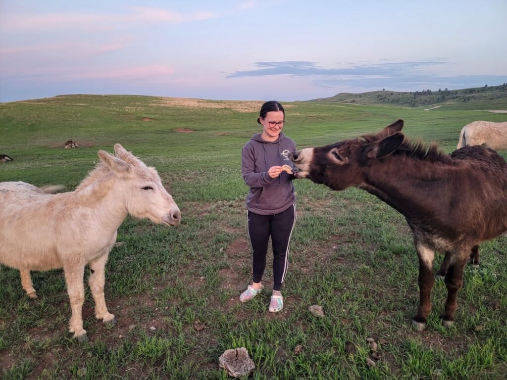 ashlyn feeding the burros