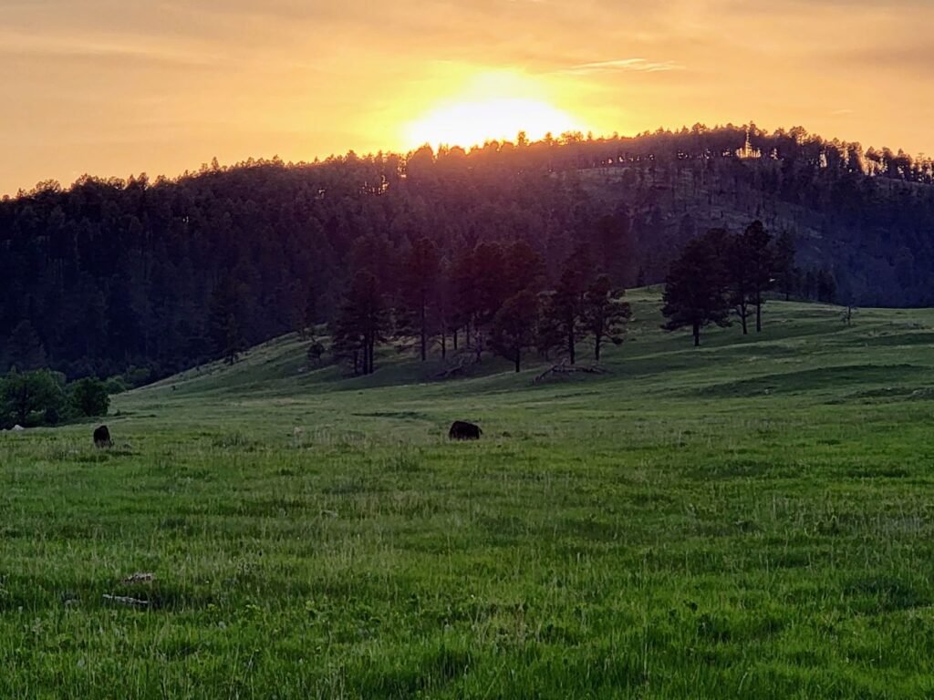 one final picture of the beautiful sunset at custer