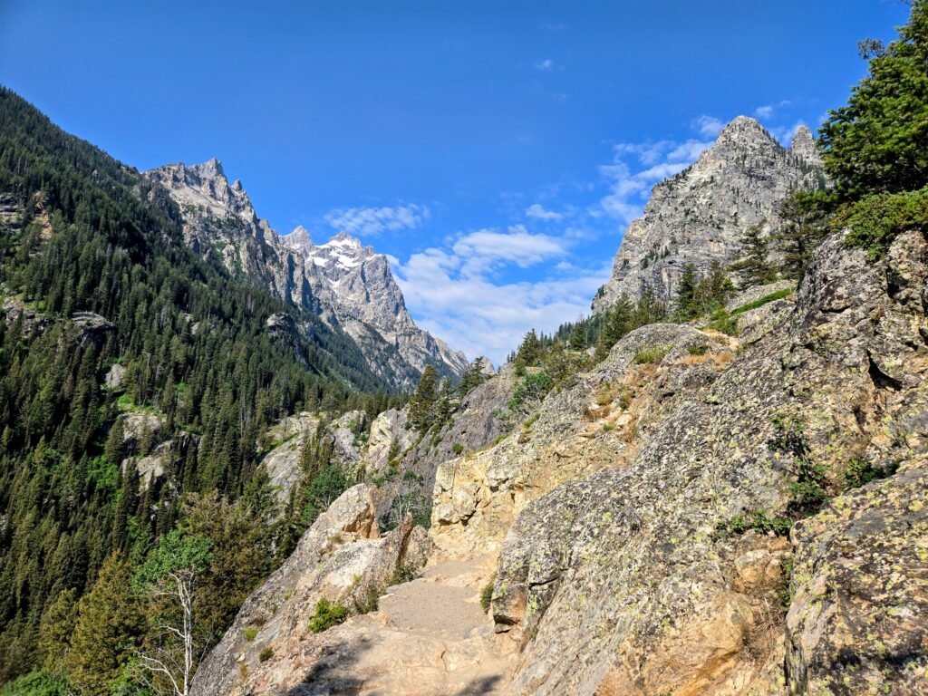 View of the Tetons on the Inspiration Point hike