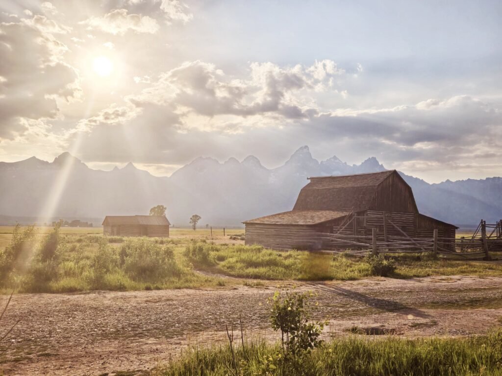 Golden hour photography at Mormon Row