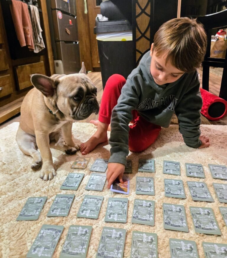 cooper playing match game. one of the non traditional ways we like to homeschool