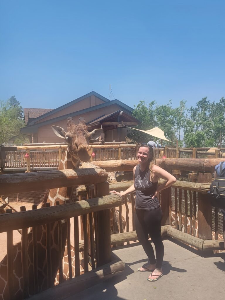 Feeding the giraffes at the Cheyenne Mountain Zoo