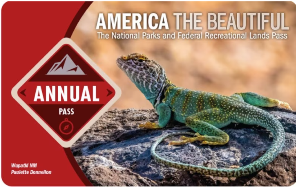 2024 2025 america the beautiful national park pass